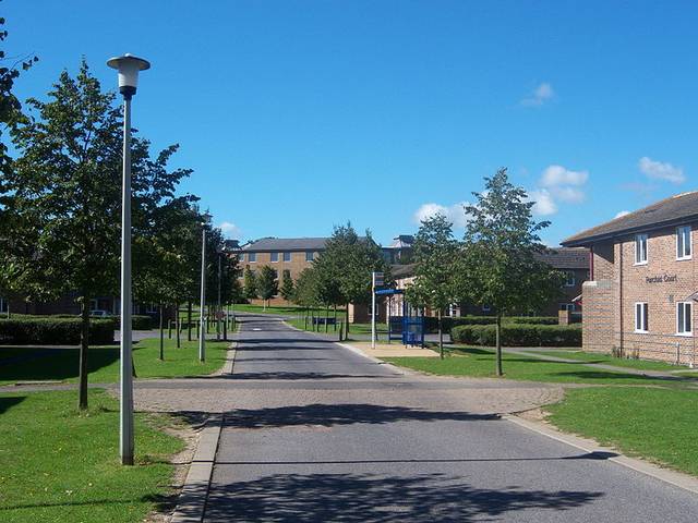 肯特大学