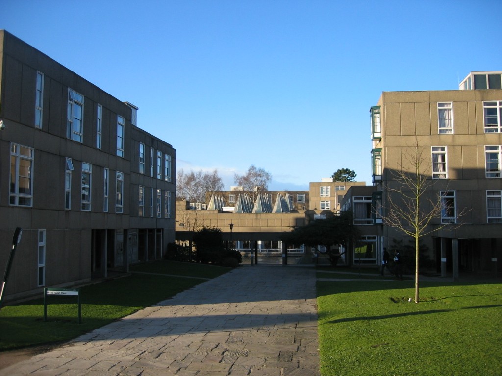 约克大学